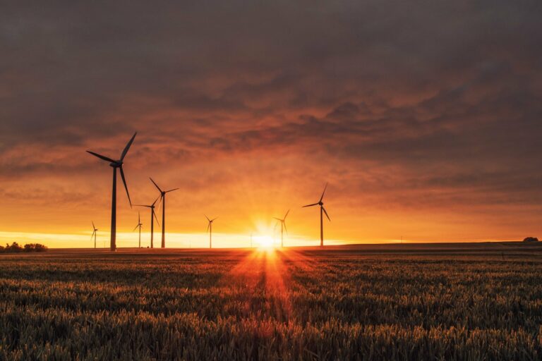 Windräder auf einer Wiese während des Sonnenuntergangs