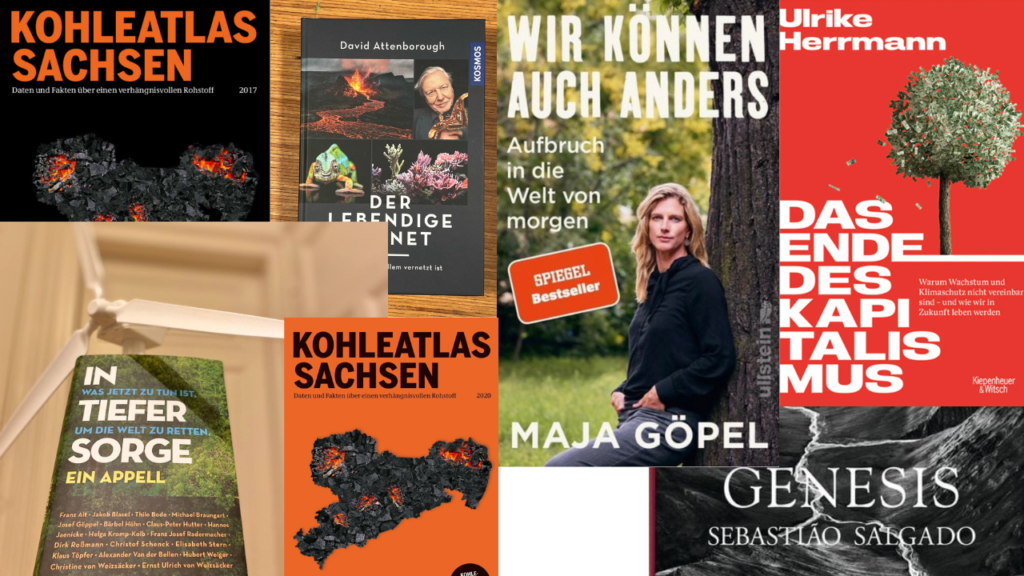 Das Bild zeigt die Buchcover der vorgestellten Bücher 