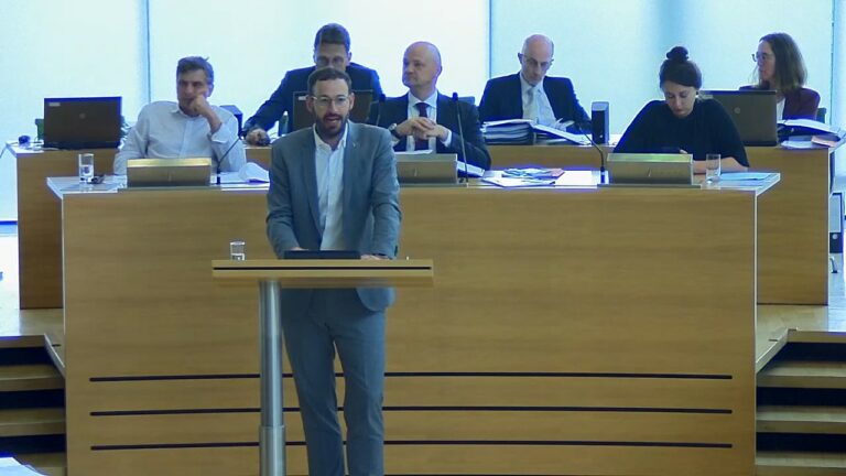 Auf dem Bild ist Daniel am Redepult im Landtag zu sehen.